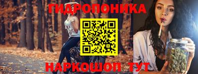 крисы Будённовск